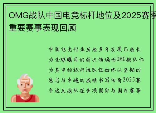 OMG战队中国电竞标杆地位及2025赛季重要赛事表现回顾